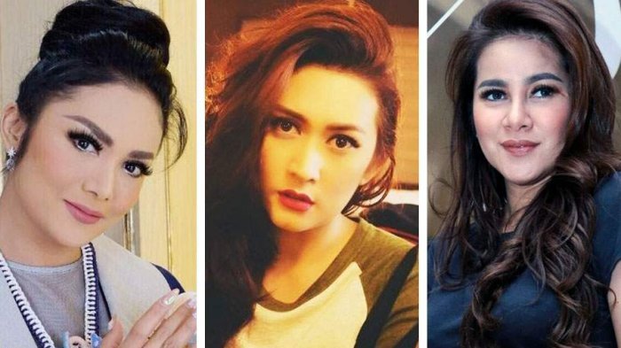 Menariknya Gelaran Pesta Demokrasi Indonesia 2019